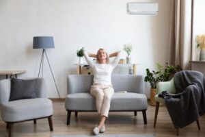 The Difference Between Air Purifiers and...