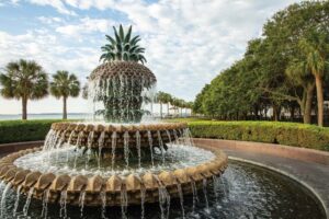 Charleston & Coastal Carolina Tea Destinations