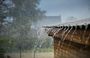 5 Ways to Prepare for Hurricane...